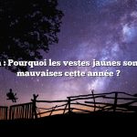 Question : Pourquoi les vestes jaunes sont-elles si mauvaises cette année ?